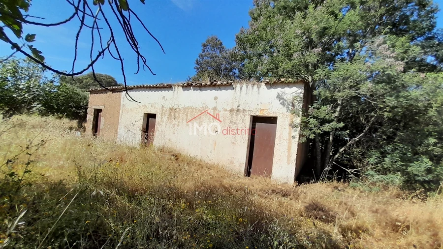 Terreno Agricola ou Rústico para Venda em Espírito Santo, Nossa Senhora da Graça e São Simão Foto 6