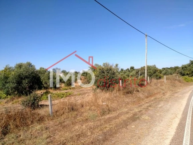 Terreno Agricola ou Rústico para Venda em Espírito Santo, Nossa Senhora da Graça e São Simão Foto 23