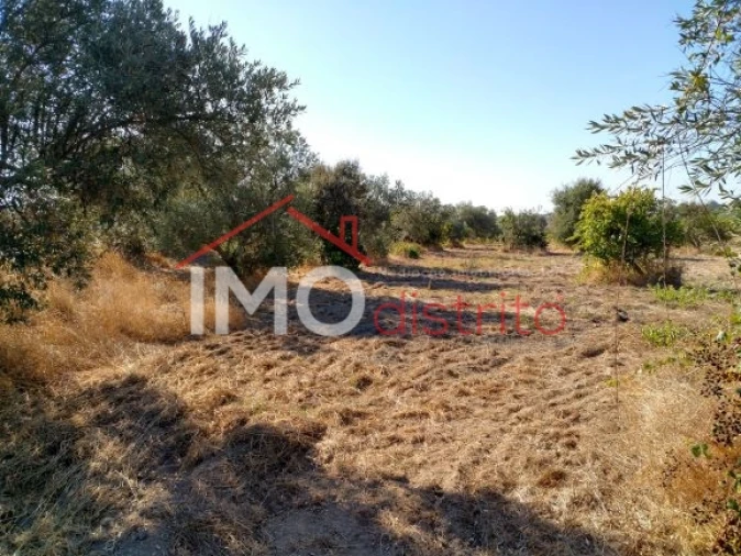 Terreno Agricola ou Rústico para Venda em Espírito Santo, Nossa Senhora da Graça e São Simão Foto 17