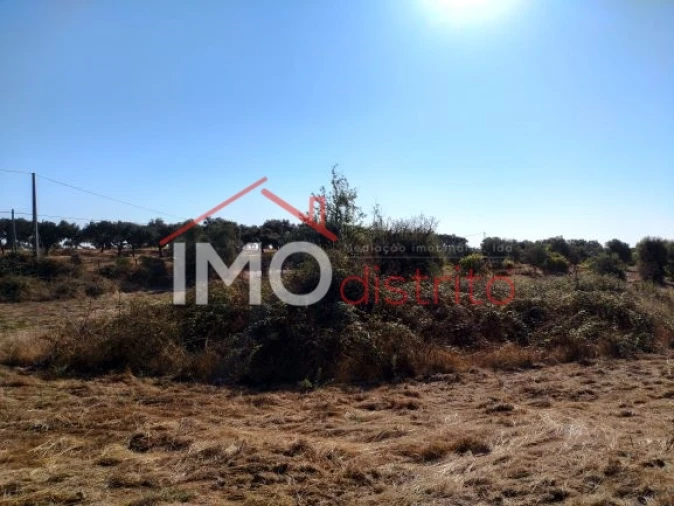 Terreno Agricola ou Rústico para Venda em Espírito Santo, Nossa Senhora da Graça e São Simão Foto 16