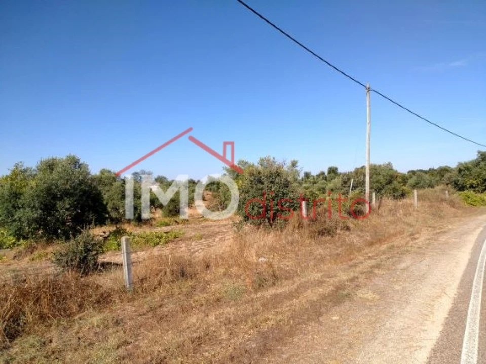 Terreno Agricola ou Rústico para Venda em Espírito Santo, Nossa Senhora da Graça e São Simão Foto 23
