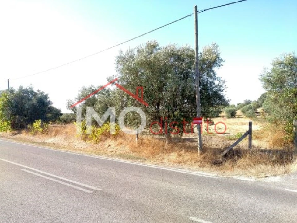 Terreno Agricola ou Rústico para Venda em Espírito Santo, Nossa Senhora da Graça e São Simão Foto 20