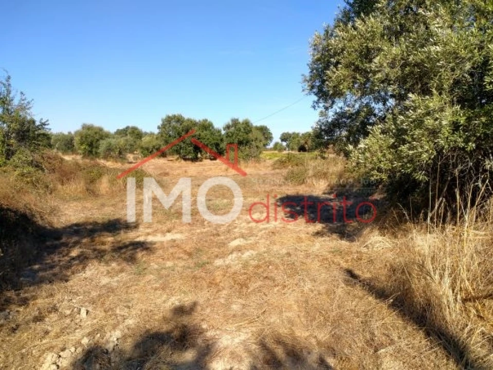 Terreno Agricola ou Rústico para Venda em Espírito Santo, Nossa Senhora da Graça e São Simão Foto 3