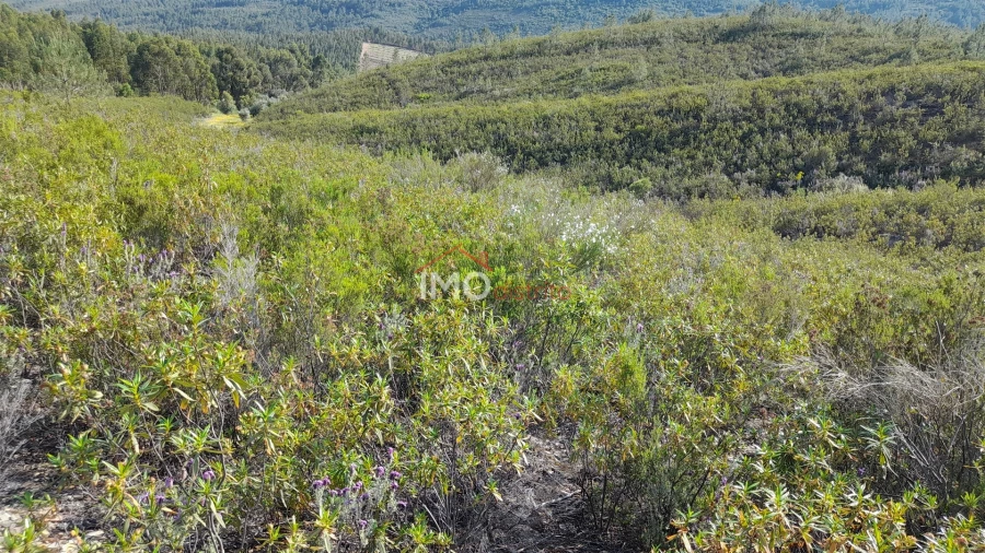 Terreno Agricola ou Rústico para Venda em Reguengo e São Julião Foto 4