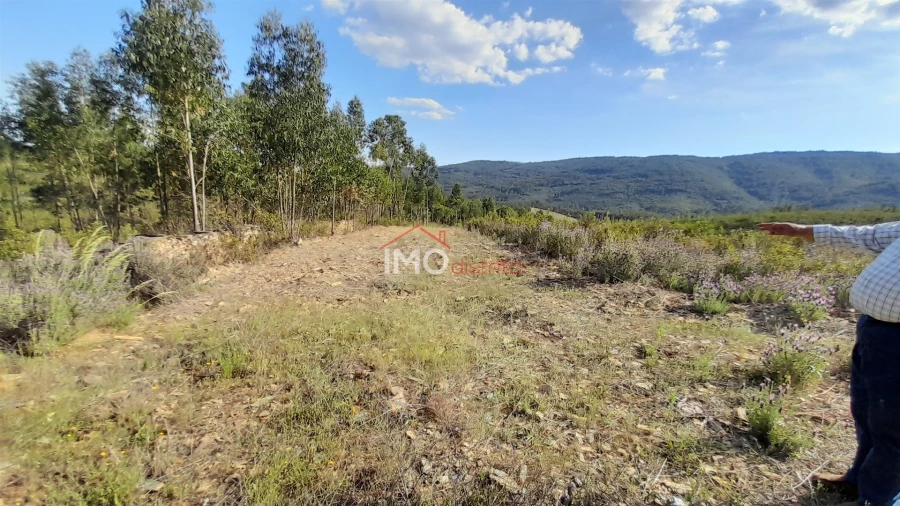 Terreno Agricola ou Rústico para Venda em Reguengo e São Julião Foto 2