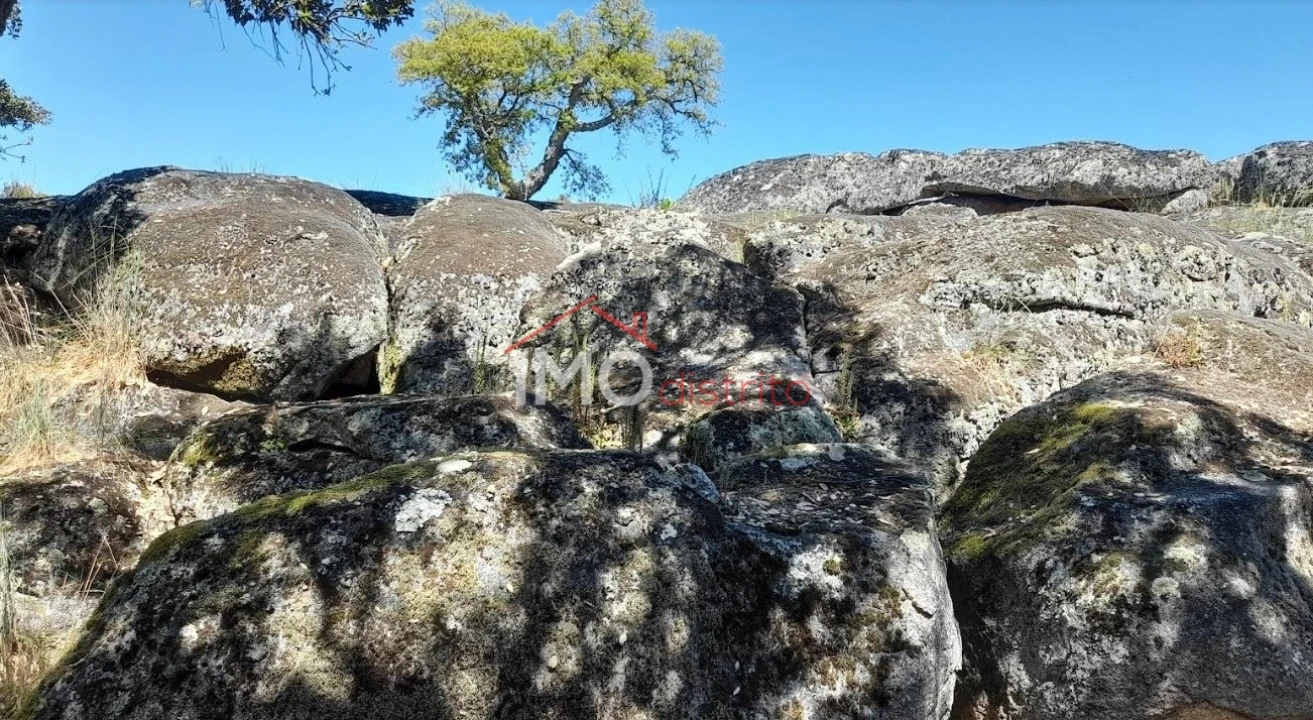 Terreno Agricola ou Rústico para Venda em Beirã Foto 17