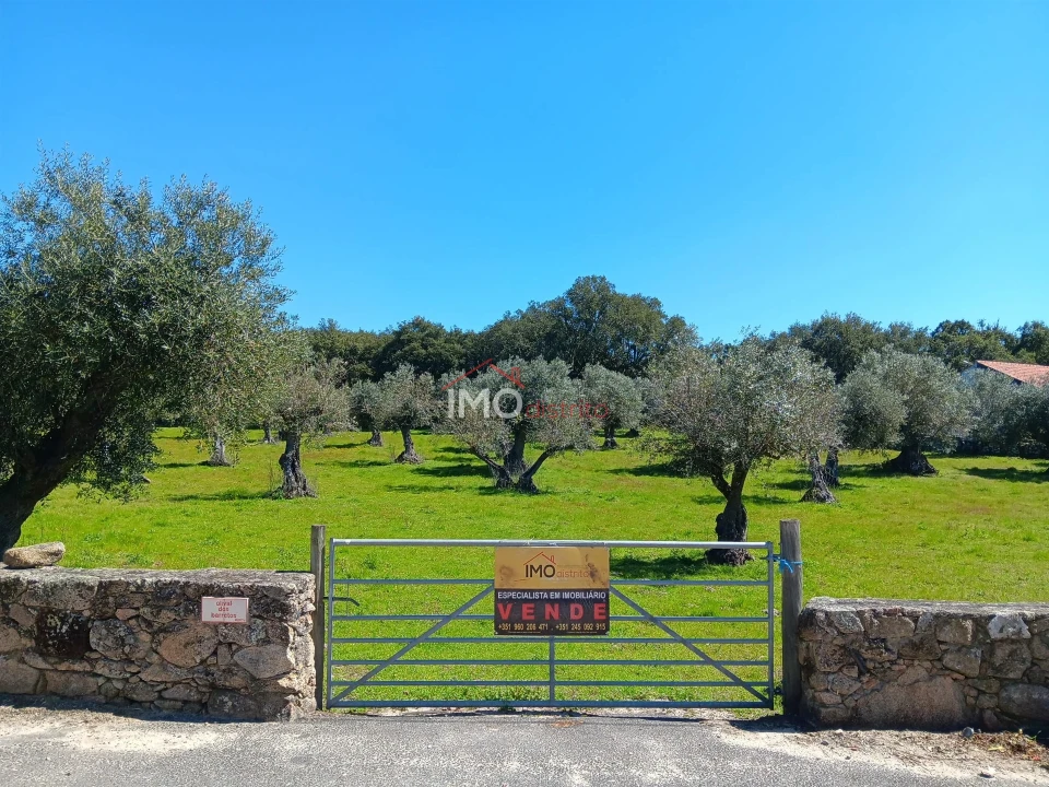 Terreno Agricola ou Rústico para Venda em Beirã Foto 2
