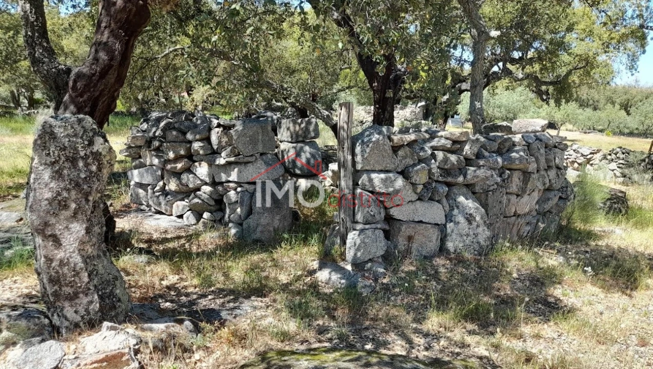 Terreno Agricola ou Rústico para Venda em Beirã Foto 21