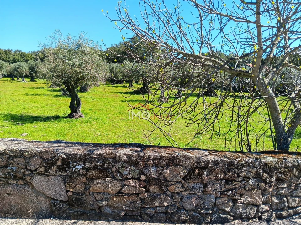Terreno Agricola ou Rústico para Venda em Beirã Foto 1