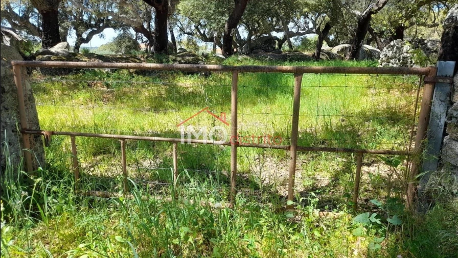 Terreno Agricola ou Rústico para Venda em Beirã Foto 16