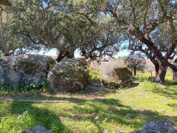 Terreno Agricola ou Rústico para Venda em Beirã Foto 14