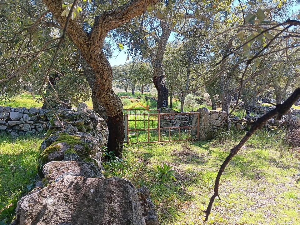 Terreno Agricola ou Rústico para Venda em Beirã Foto 13