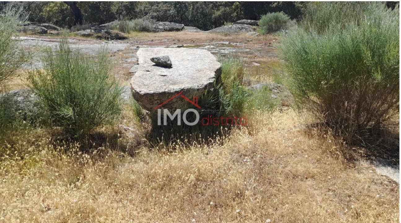 Terreno Agricola ou Rústico para Venda em Beirã Foto 19