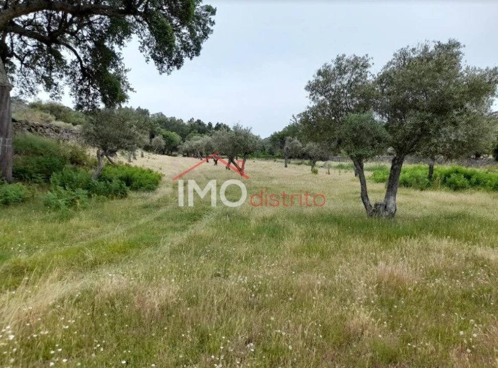 Quinta T3 para Venda em Santo Antonio das Areias Foto 31