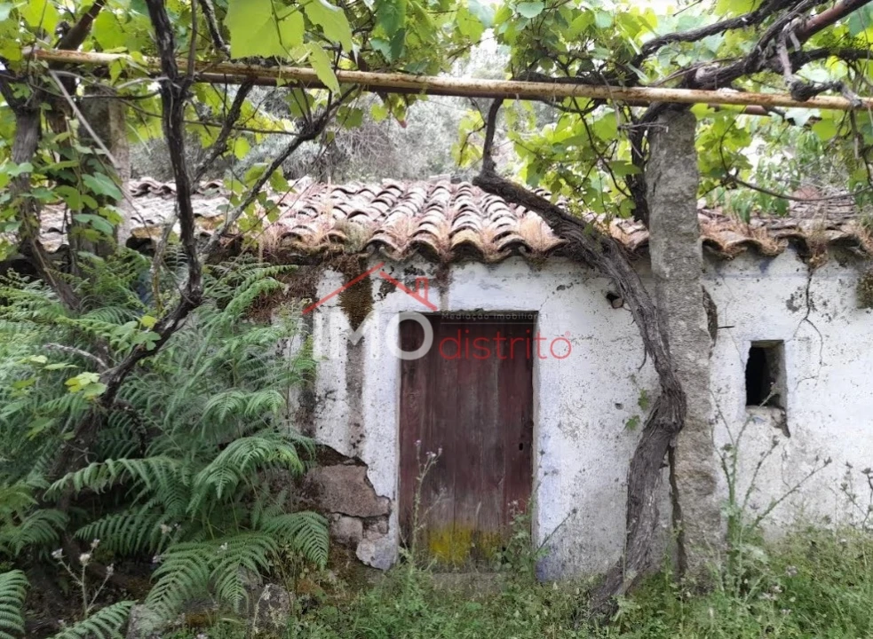 Quinta T3 para Venda em Santo Antonio das Areias Foto 23