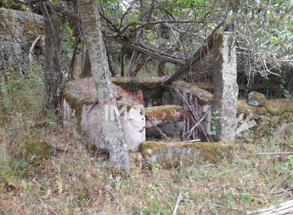 Quinta T3 para Venda em Santo Antonio das Areias Foto 25