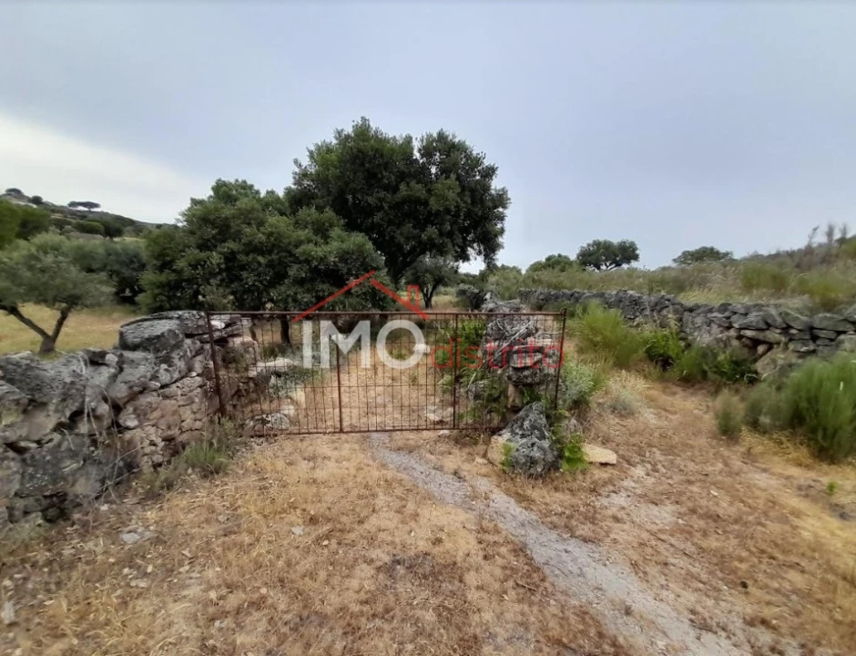 Quinta T3 para Venda em Santo Antonio das Areias Foto 27