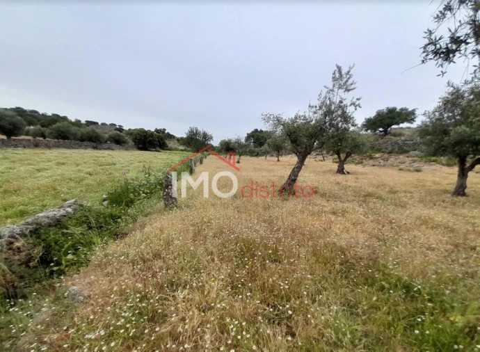 Quinta T3 para Venda em Santo Antonio das Areias Foto 29