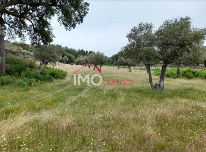 Quinta T3 para Venda em Santo Antonio das Areias Foto 31