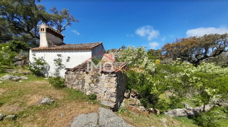Quinta T3 para Venda em Santo Antonio das Areias Foto 2