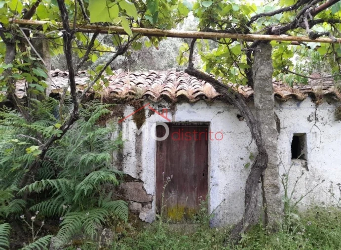 Quinta T3 para Venda em Santo Antonio das Areias Foto 23
