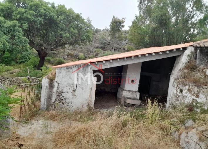 Quinta T3 para Venda em Santo Antonio das Areias Foto 10