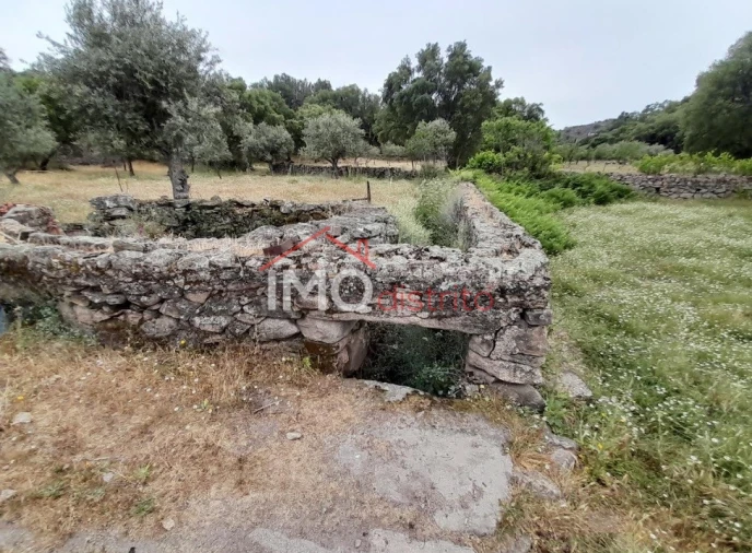Quinta T3 para Venda em Santo Antonio das Areias Foto 28