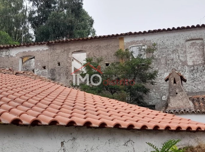 Quinta T3 para Venda em Santo Antonio das Areias Foto 11