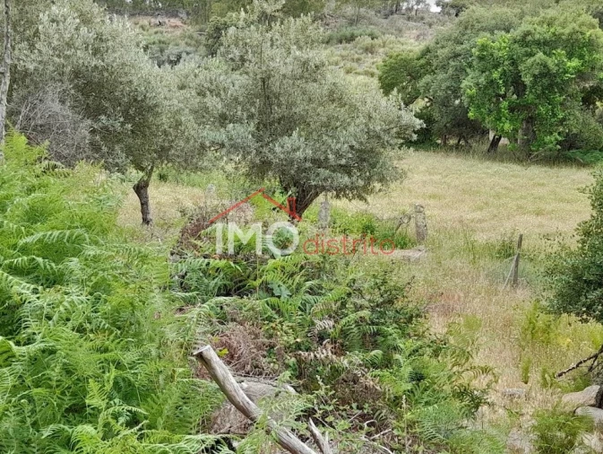 Quinta T3 para Venda em Santo Antonio das Areias Foto 26