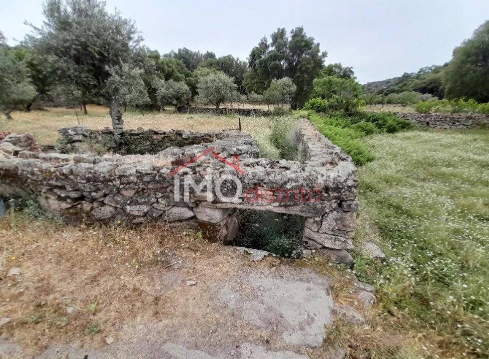 Quinta T3 para Venda em Santo Antonio das Areias Foto 28