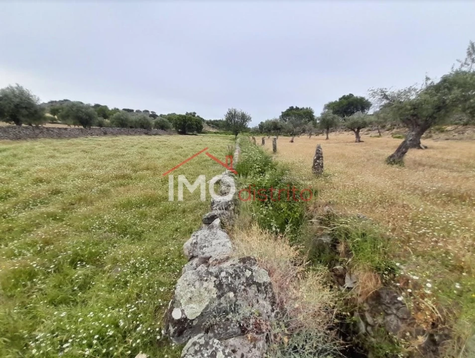 Quinta T3 para Venda em Santo Antonio das Areias Foto 30