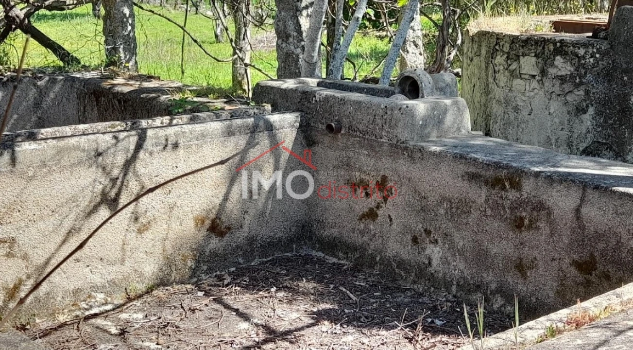 Quinta T3 para Venda em Santo Antonio das Areias Foto 8