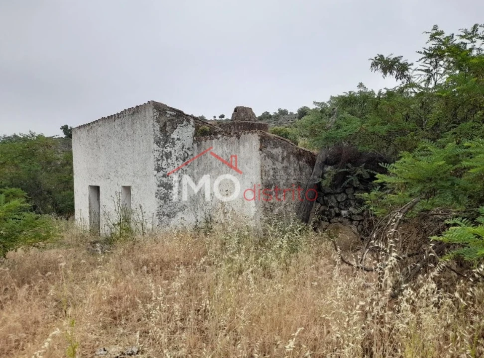 Quinta T3 para Venda em Santo Antonio das Areias Foto 12