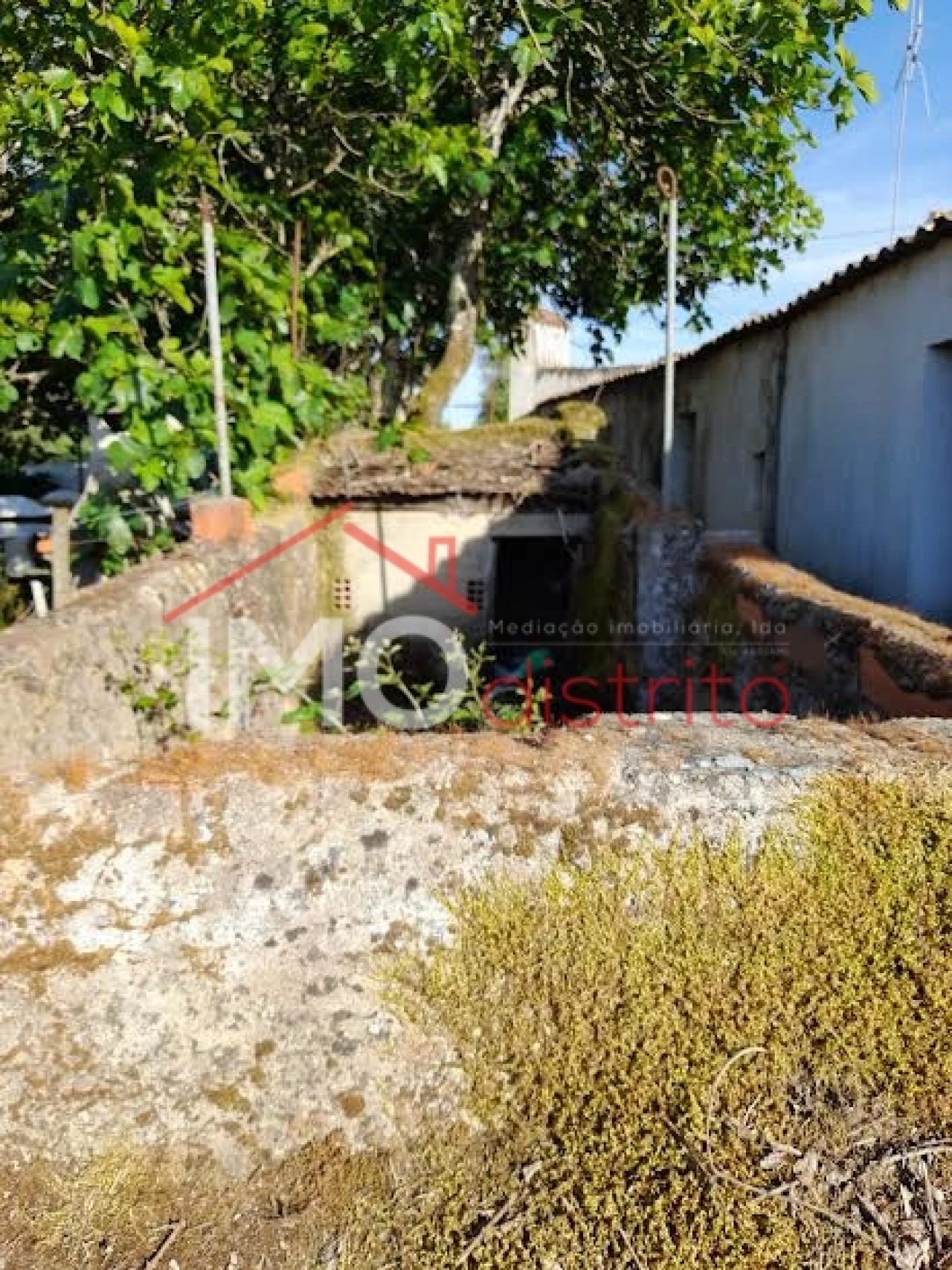 Moradia T0 para Venda em São Salvador da Aramenha Foto 5