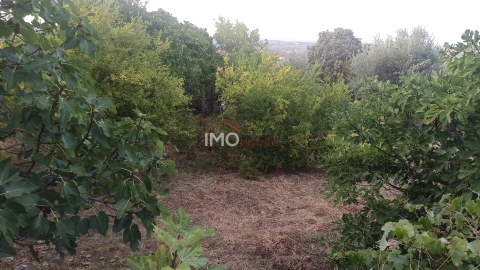 Quinta T7 para Venda em São João Baptista