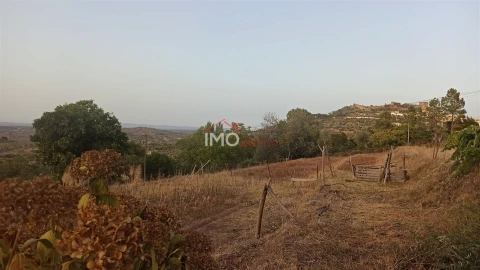 Quinta T7 para Venda em São João Baptista
