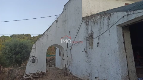 Quinta T7 para Venda em São João Baptista