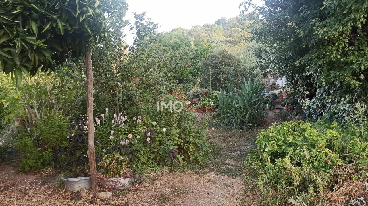 Quinta T7 para Venda em São João Baptista Foto 6