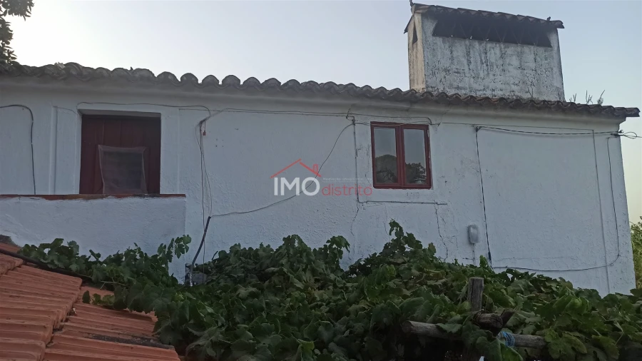Quinta T7 para Venda em São João Baptista Foto 11