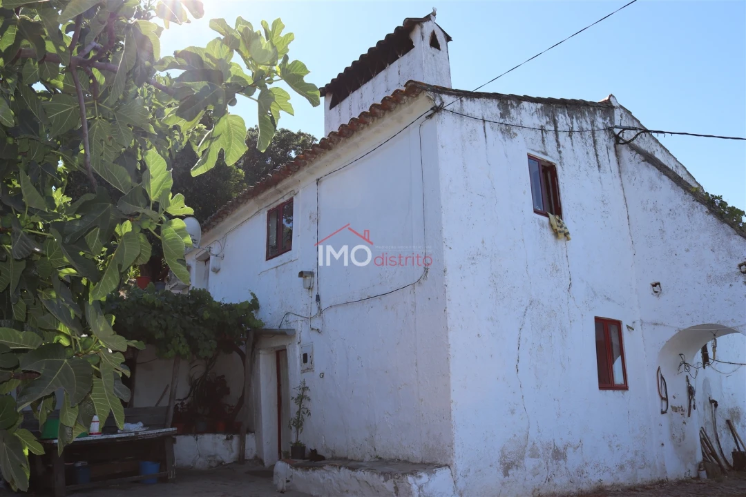 Quinta T7 para Venda em São João Baptista Foto 2