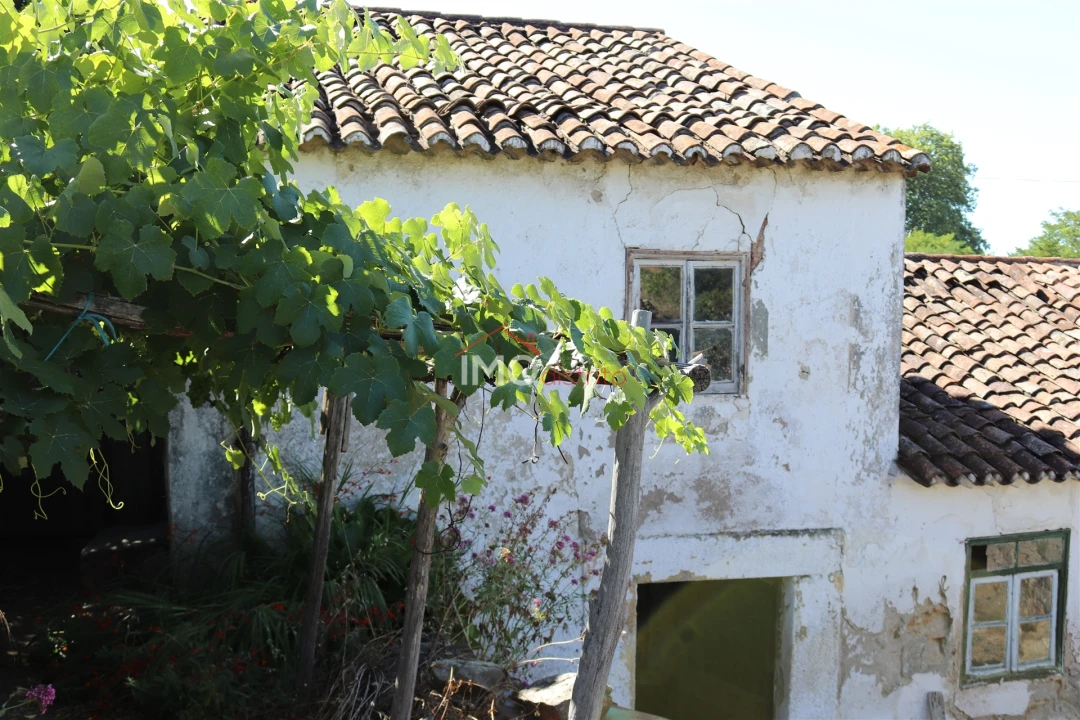 Quinta T7 para Venda em São João Baptista Foto 2