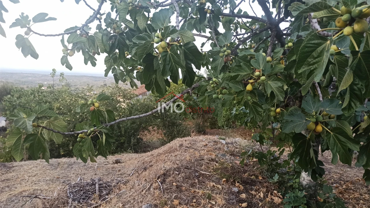 Quinta T7 para Venda em São João Baptista Foto 13