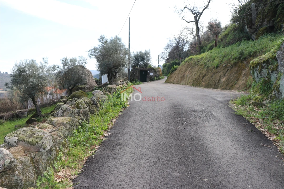 Terreno Agricola ou Rústico para Venda em Santa Maria da Devesa Foto 7