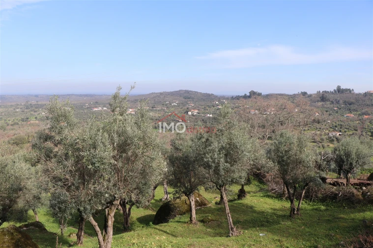 Terreno Agricola ou Rústico para Venda em Santa Maria da Devesa Foto 11