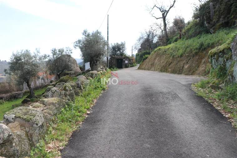 Terreno Agricola ou Rústico para Venda em Santa Maria da Devesa Foto 7
