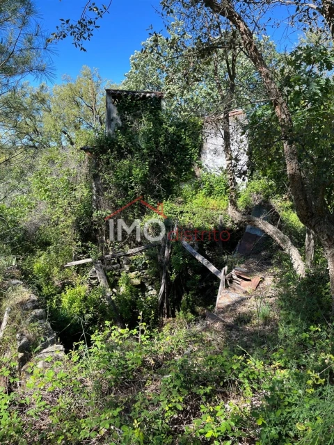 Quinta T3 para Venda em Reguengo e São Julião