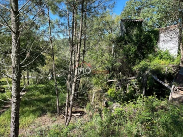 Quinta T3 para Venda em Reguengo e São Julião