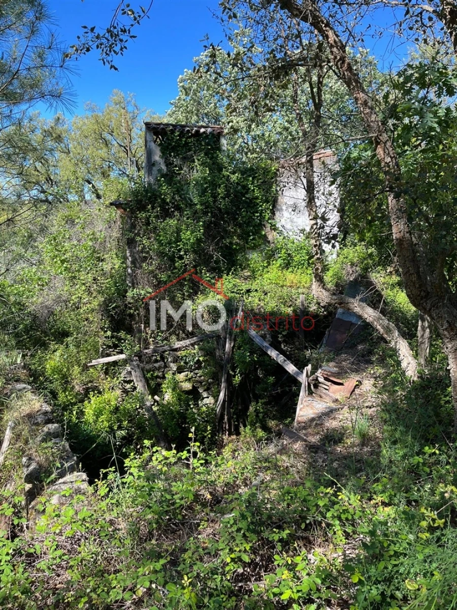 Quinta T3 para Venda em Reguengo e São Julião Foto 14