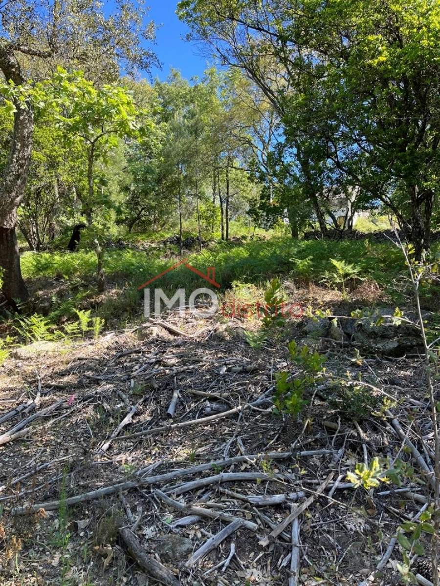 Quinta T3 para Venda em Reguengo e São Julião Foto 8