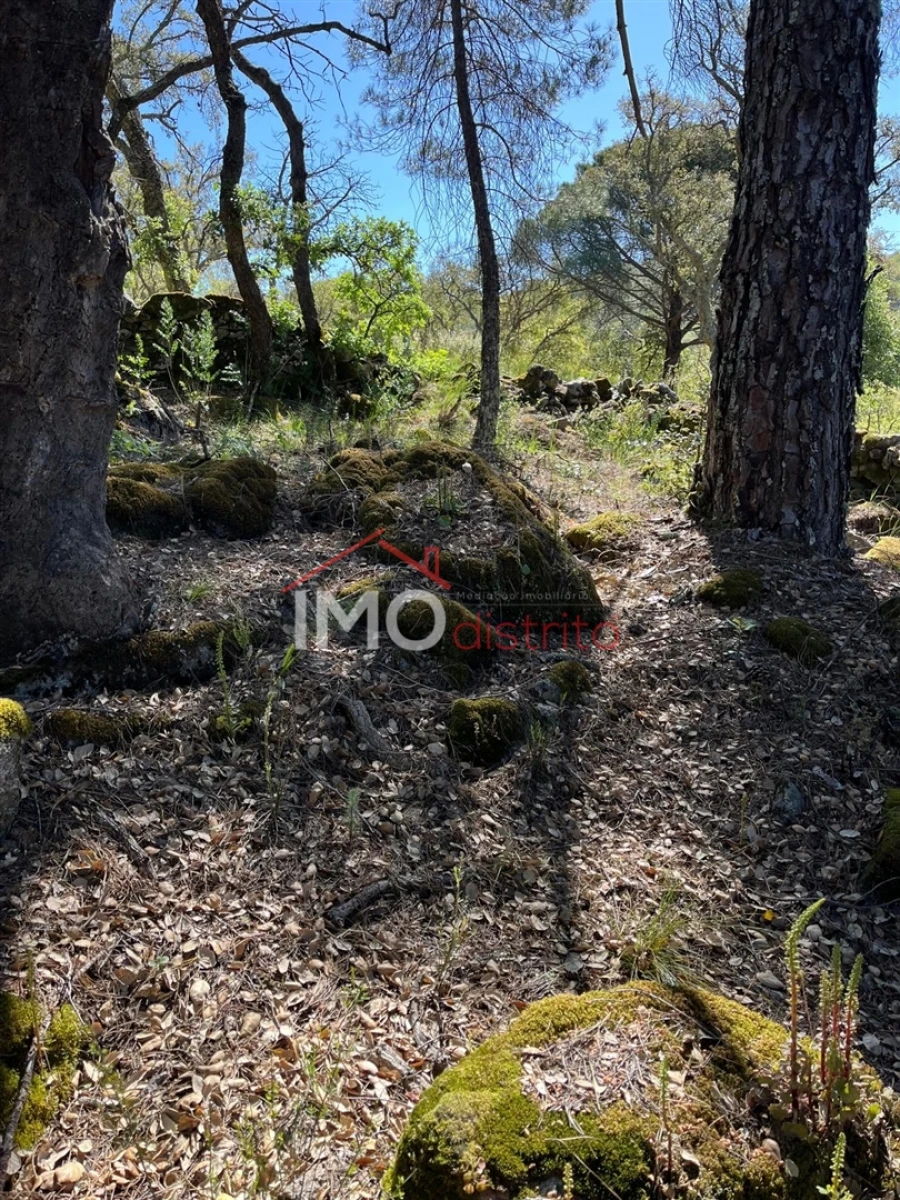 Quinta T3 para Venda em Reguengo e São Julião Foto 7
